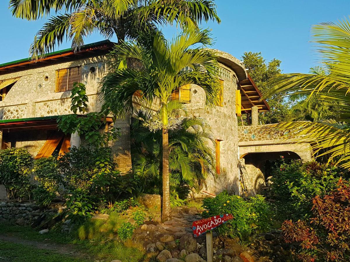 Citrus Creek Plantation Villa La Plaine Exterior photo